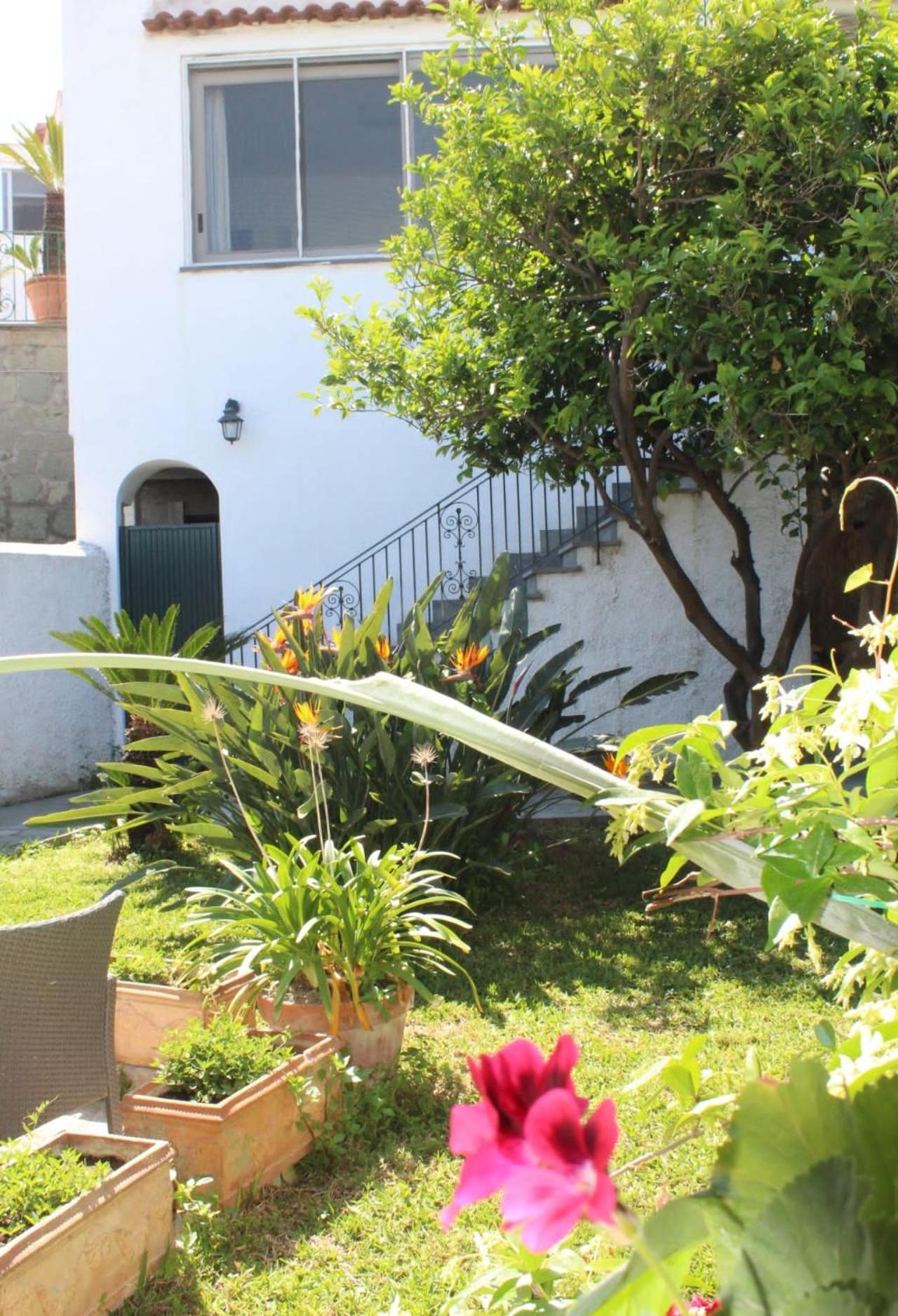 Chez Marie Ischia Villa Dış mekan fotoğraf